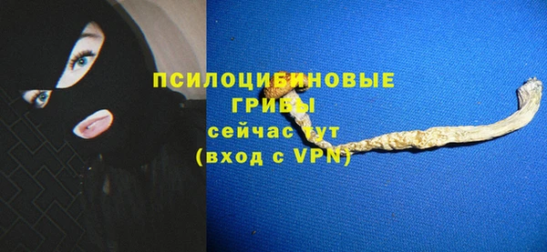 соль ск Кулебаки