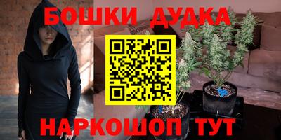 сатива Балаково