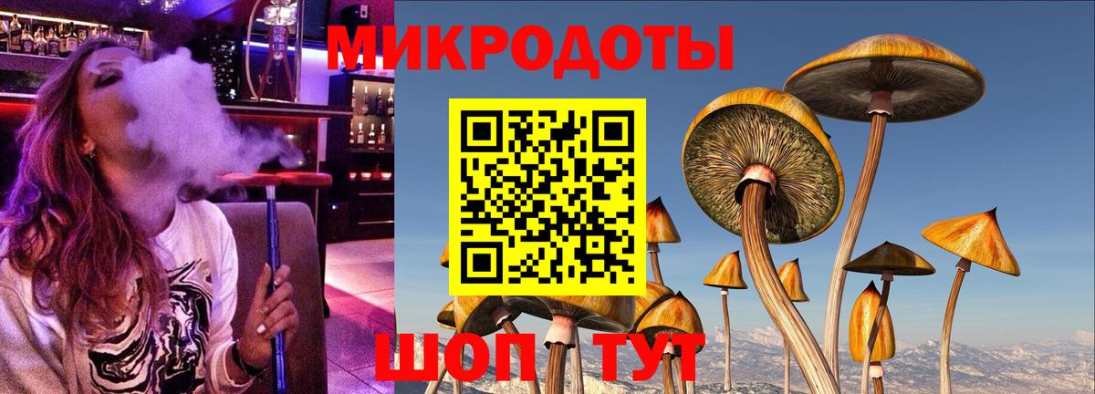 Галлюциногенные грибы Psilocybine cubensis Аргун
